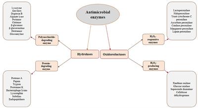 Antimicrobial Activity of Films and Coatings Containing Lactoperoxidase System: A Review